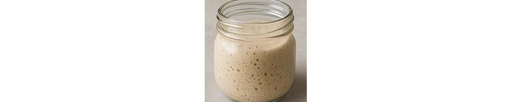 Masas Madre para Panadería - Panpatos