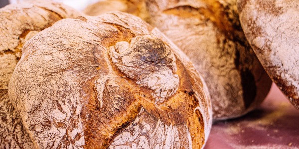 Pan Gallego Artesano: receta tradicional con Harina Ariana Gold Medal (versión profesional y casera)